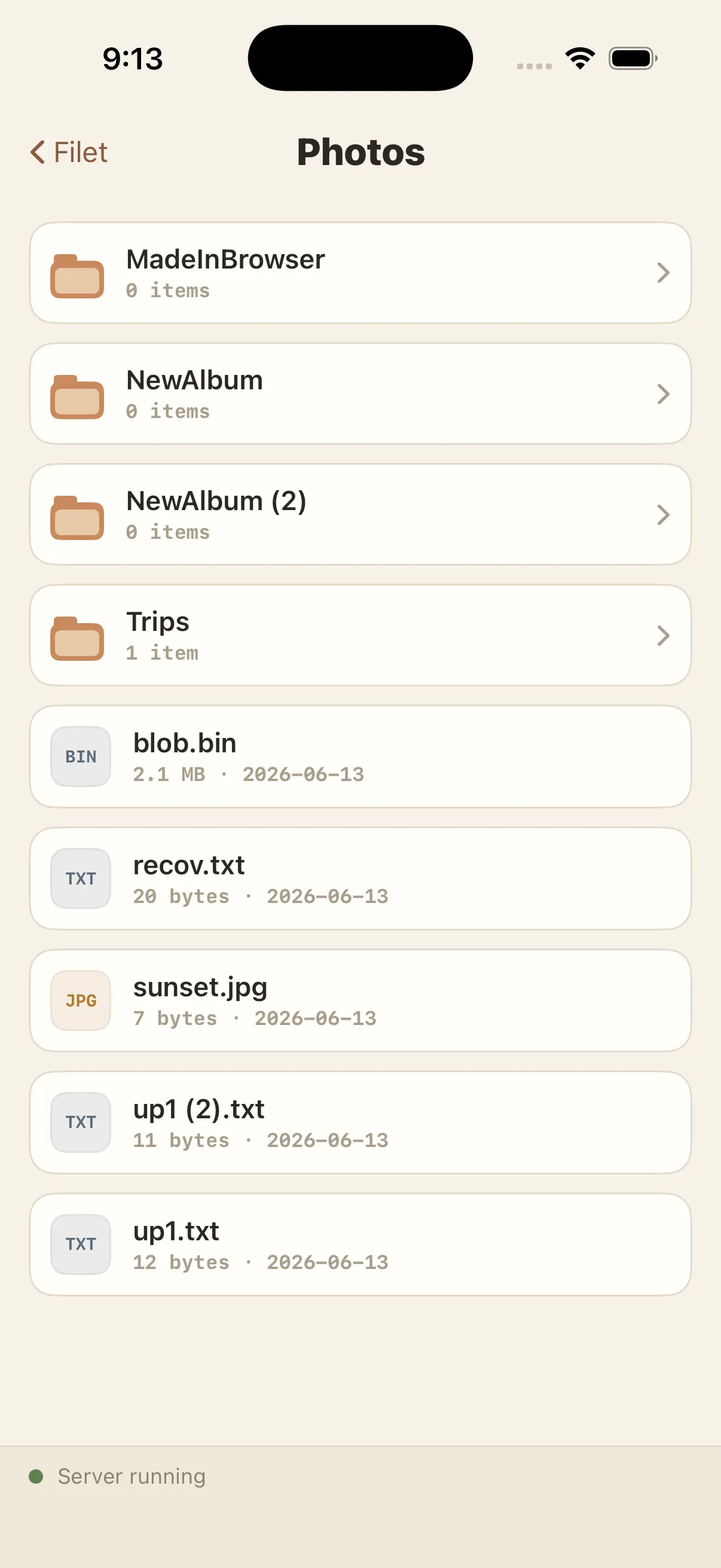 Browsing files in the native app — extension chips and folder "pockets"